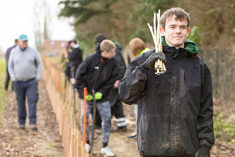 Young adult planting trees in field