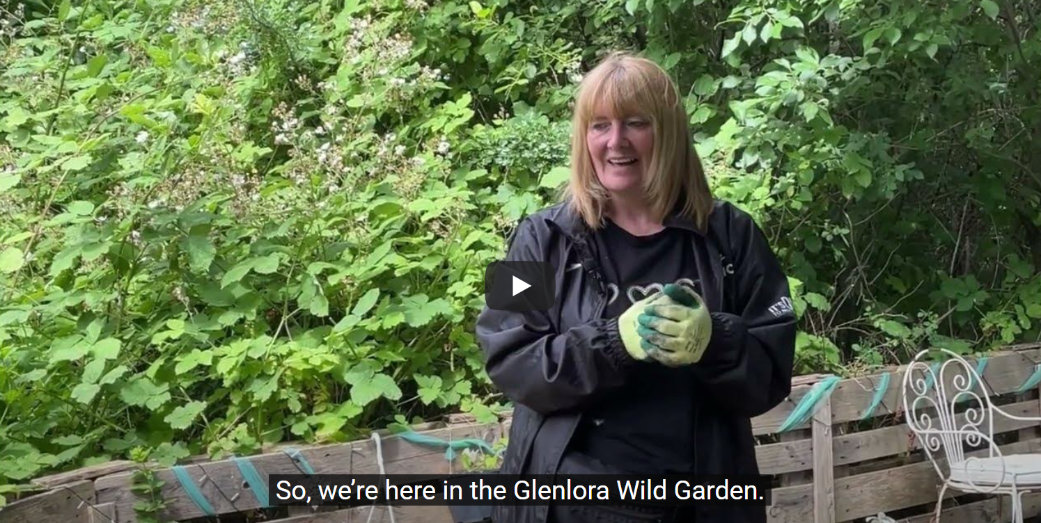 A still from a video of a woman in Glenlora Wild Garden wearing gardening gloves