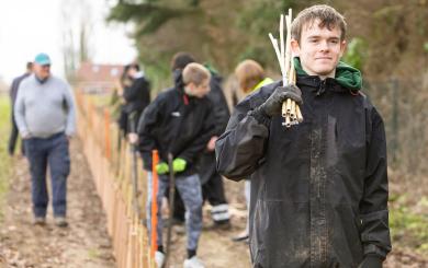 Young adult planting trees in field