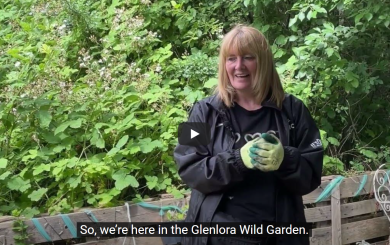 A still from a video of a woman in Glenlora Wild Garden wearing gardening gloves