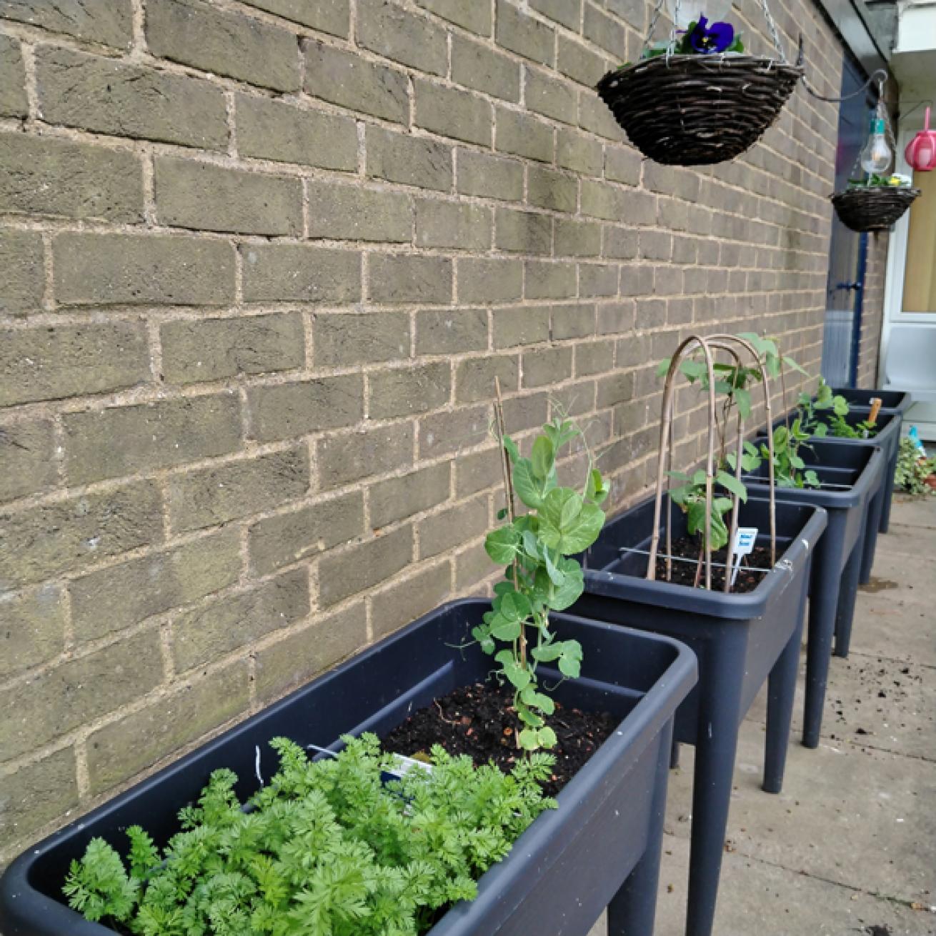 A collection of planters with green plants inside against a brown brick wall