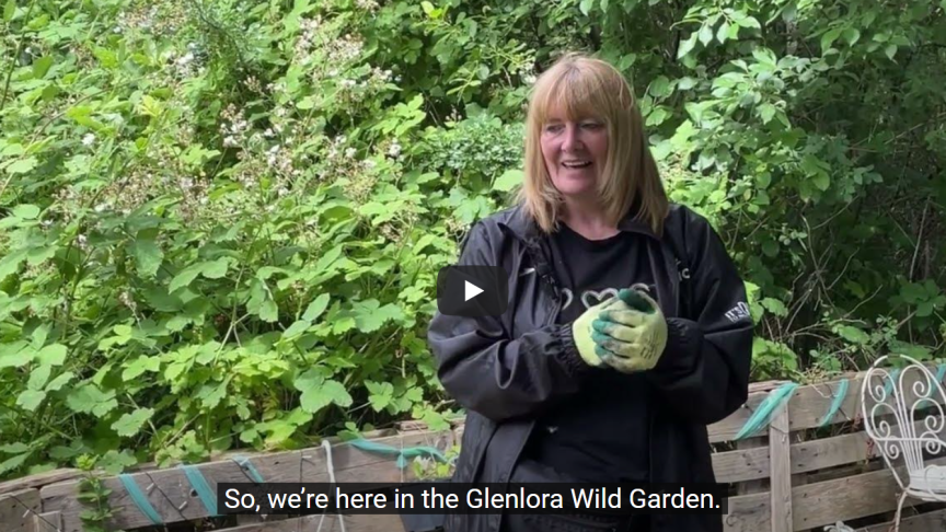 A still from a video of a woman in Glenlora Wild Garden wearing gardening gloves